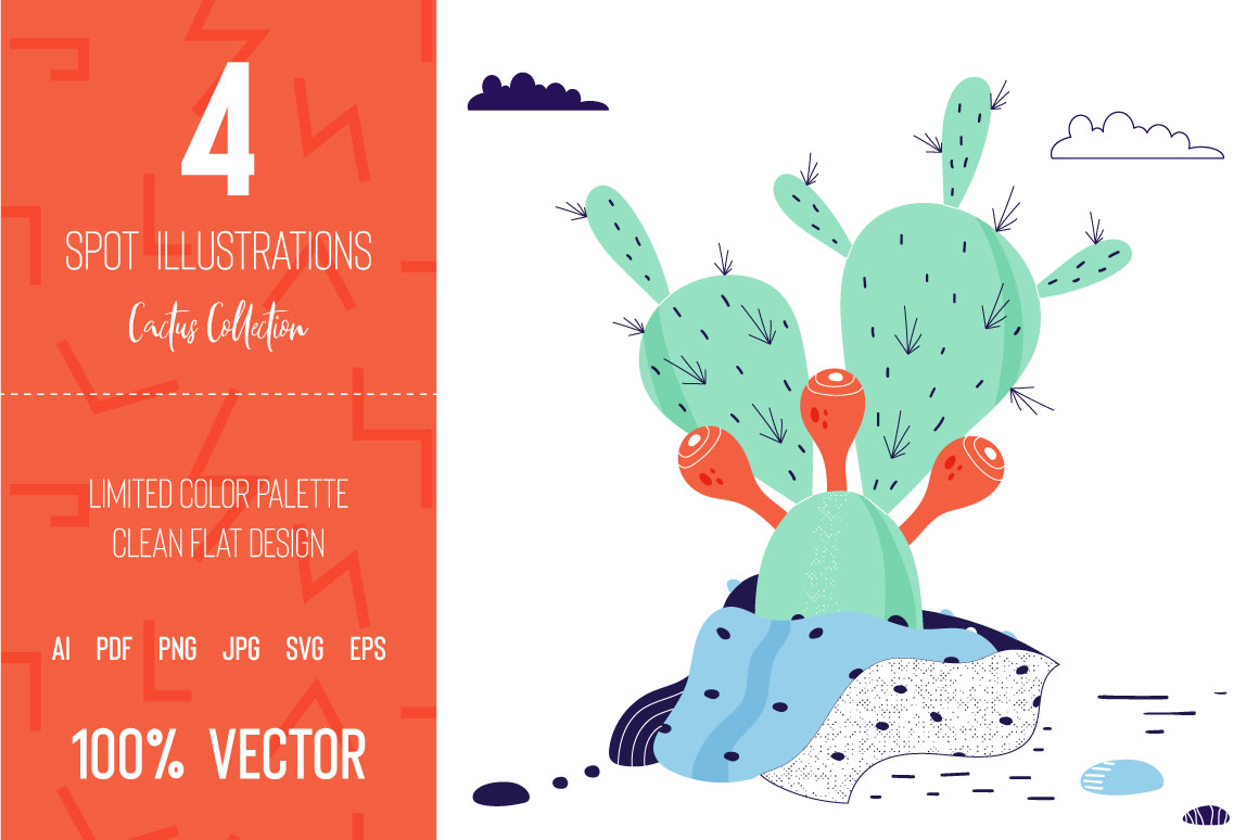 Four vector spot illustrations show real-life cactus