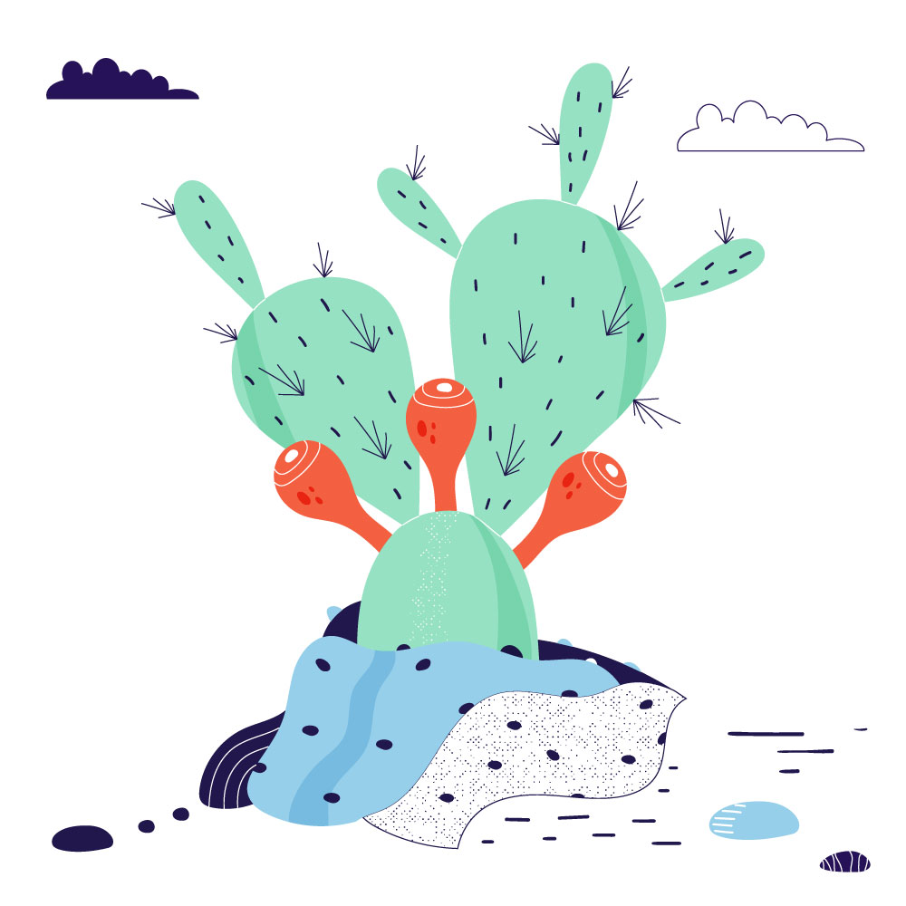 Beautiful vector spot illustrations show real-life cacti