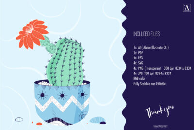 Four vector spot illustrations show a real-life cacti collection